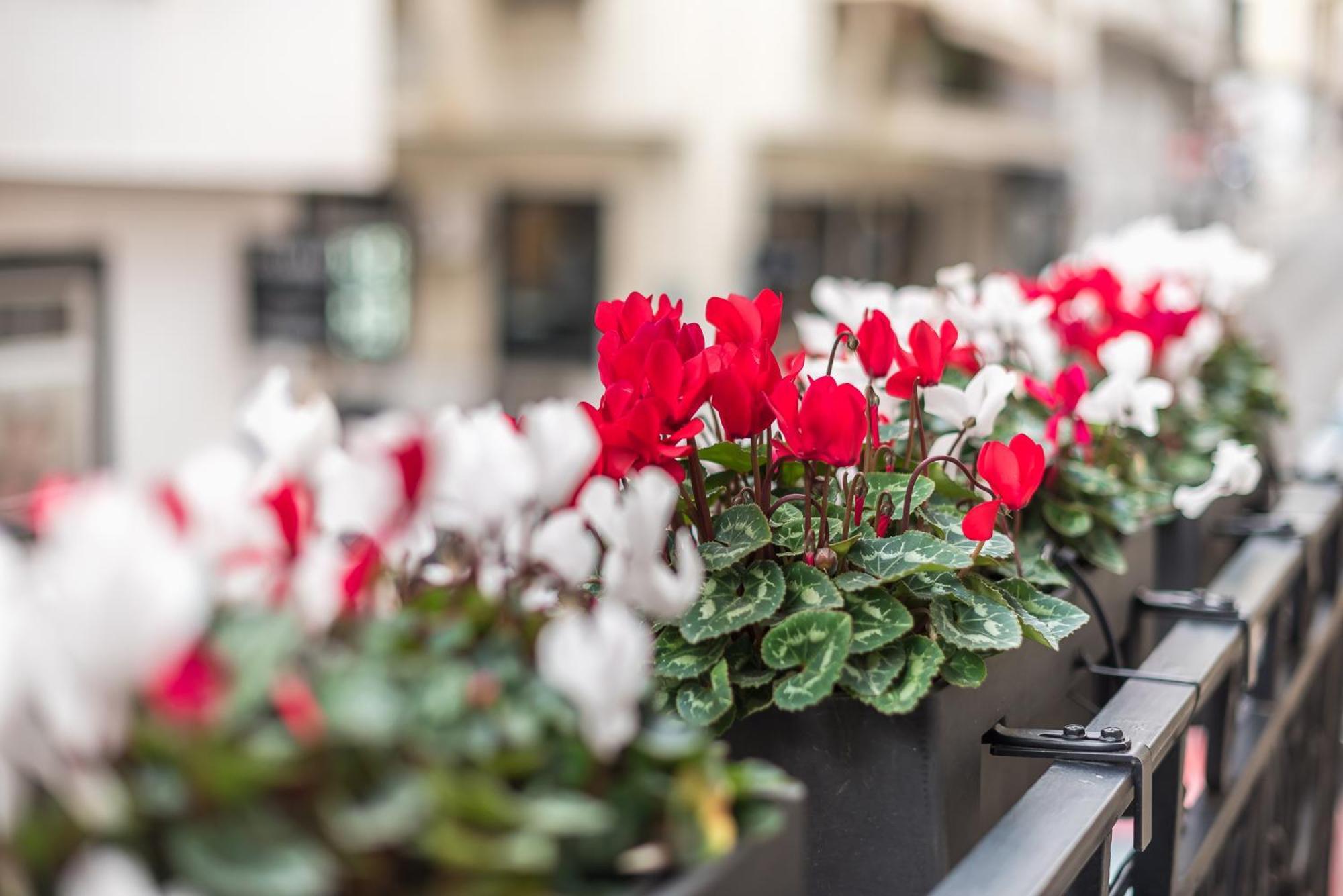 Appartamento The Rare Luxury Gem Near Syntagma, Kolonaki Square Atene Esterno foto
